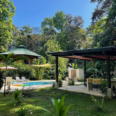 La Amapola Lodge, Bungalow En Peninsula De Osa. Barrigones Exteriér fotografie